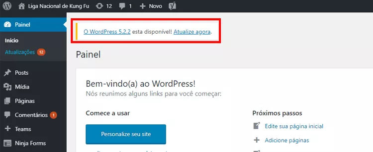 escolha da atualização do WordPress