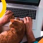 Como ajudar sua equipe a crescer? 8 dicas para trabalho remoto