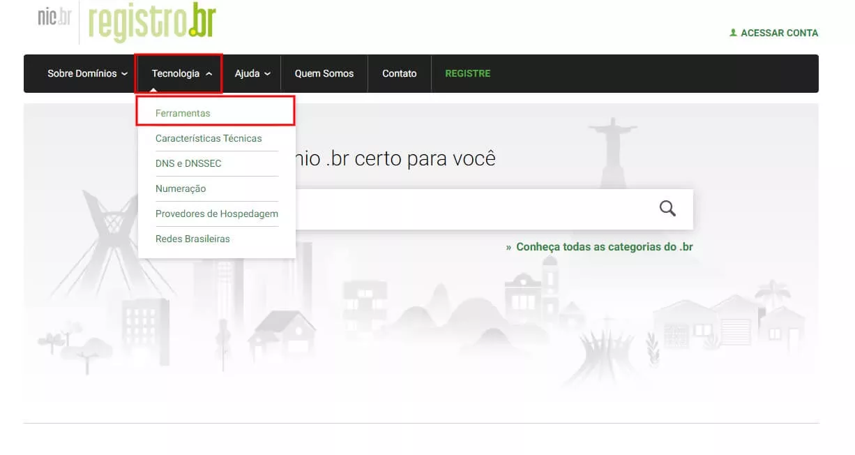registro.br whois