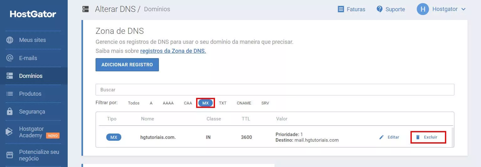 Portal do cliente MX DNS