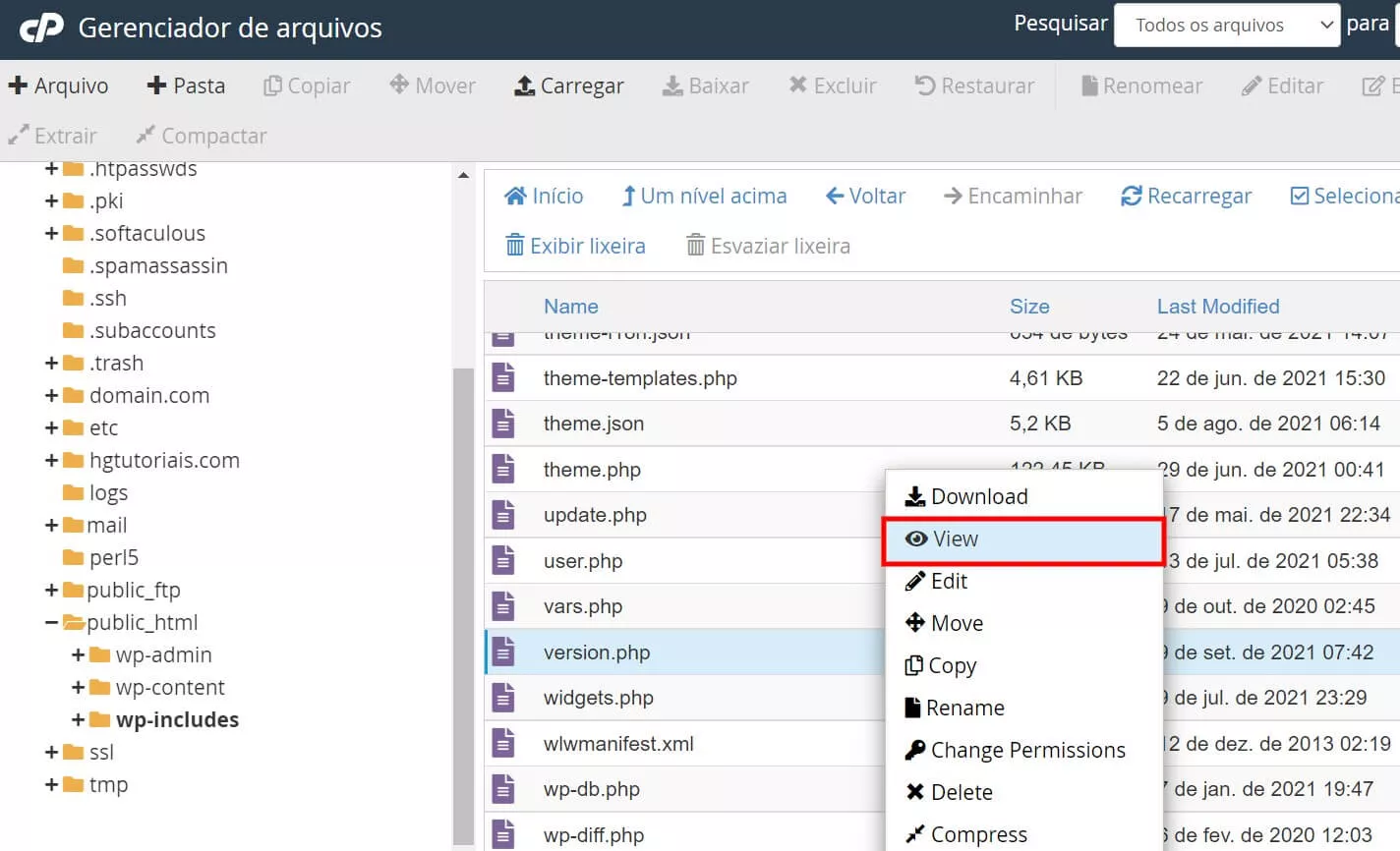 visualizando version.php wordpress