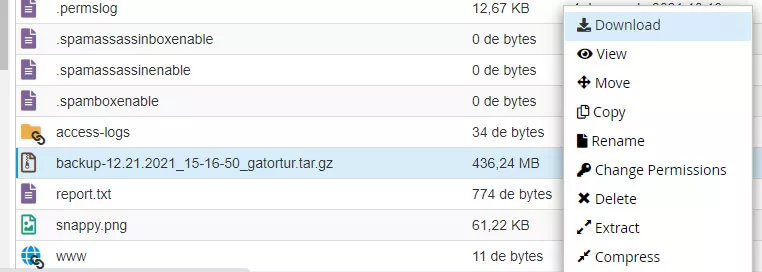 Backup do cPanel download