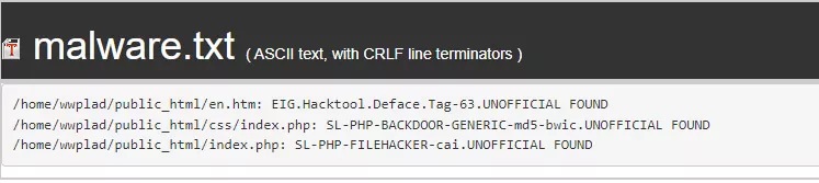 visualizando o arquivo malware.txt para remover malwares da hospedagem
