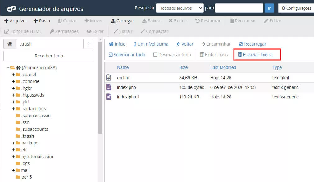 esvaziando a lixeira do gerenciador de arquivos do cPanel para remover malwares da hospedagem