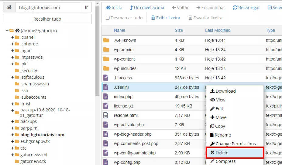 deletando a .user.ini no diretório do site no gerenciador de arquivos do cPanel