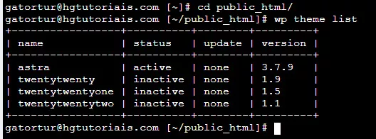 rodando o comando wp theme list