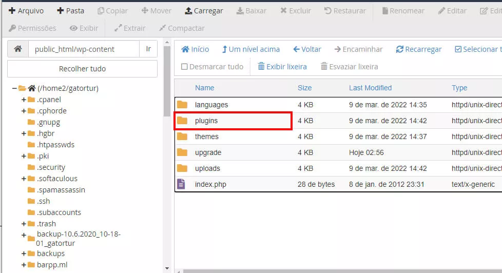 acessando pasta plugins para desabilitar o plugin do wordpress