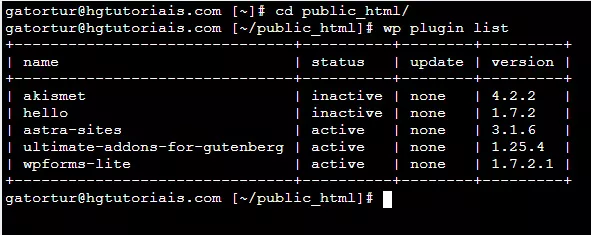 rodando o comando para ver a lista de plugins do wordpress ativos e habilitados