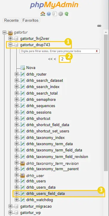 Acessando a tabela _users_field_data para alterar a senha do Drupal