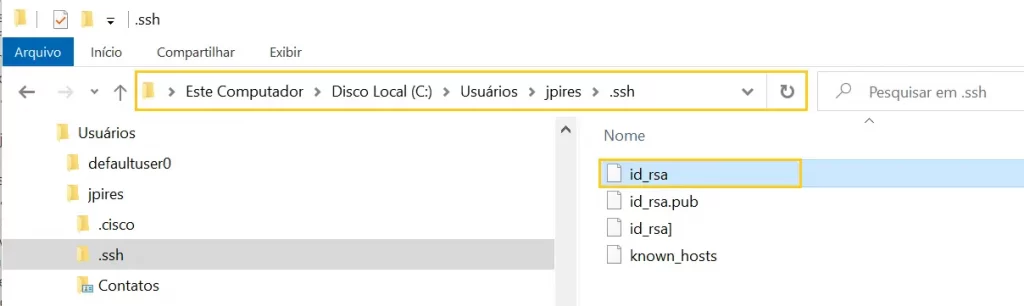 Importando a chave SSH para o diretório C:\Users\usuario\.ssh