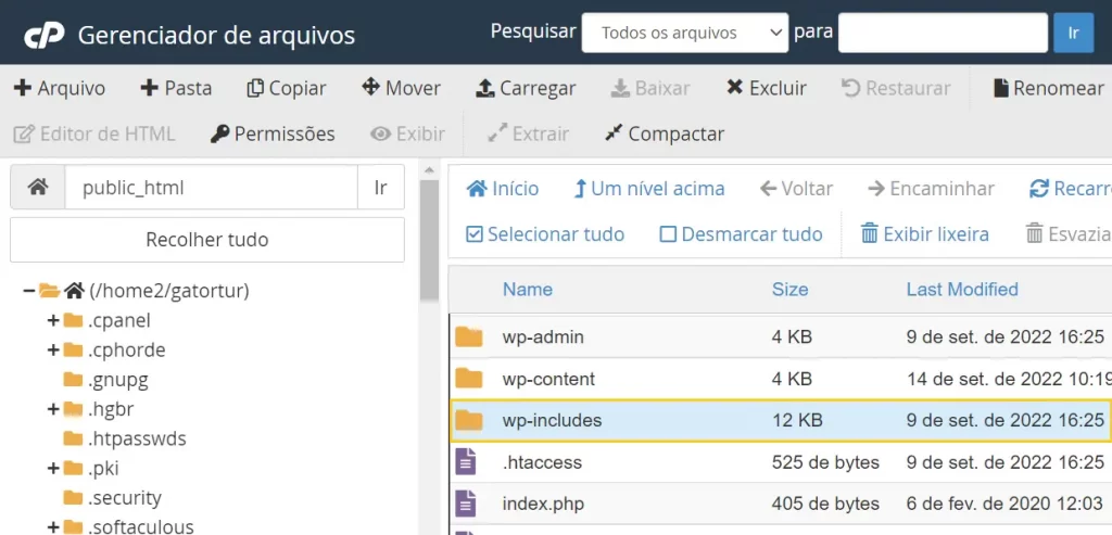 Acessar o diretório wp-includes