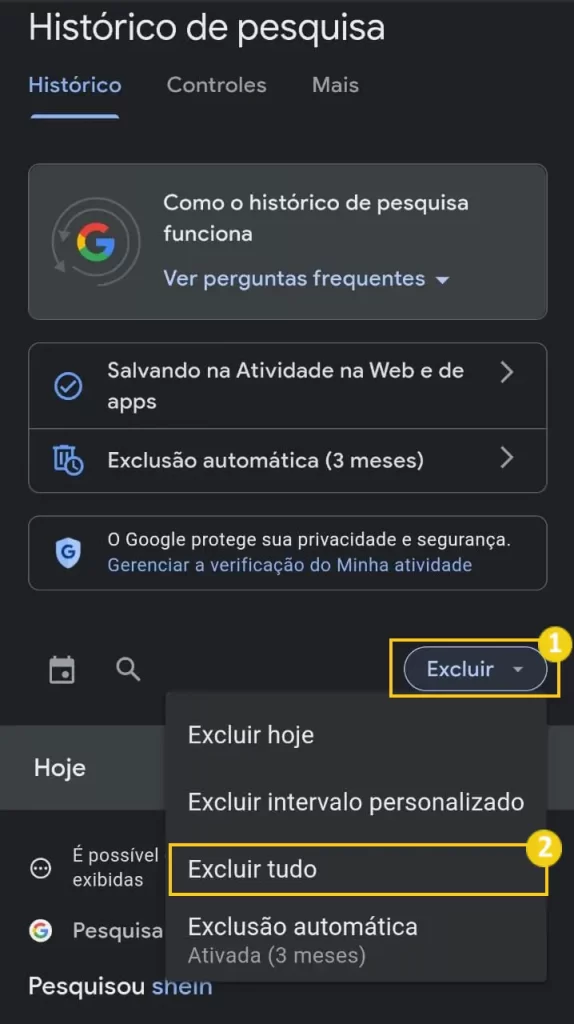 Apagar todo o histórico de busca do Google