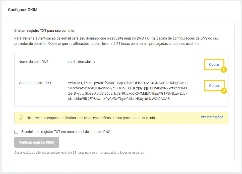 Copiar os dados para o apontamento do DKIM no Titan