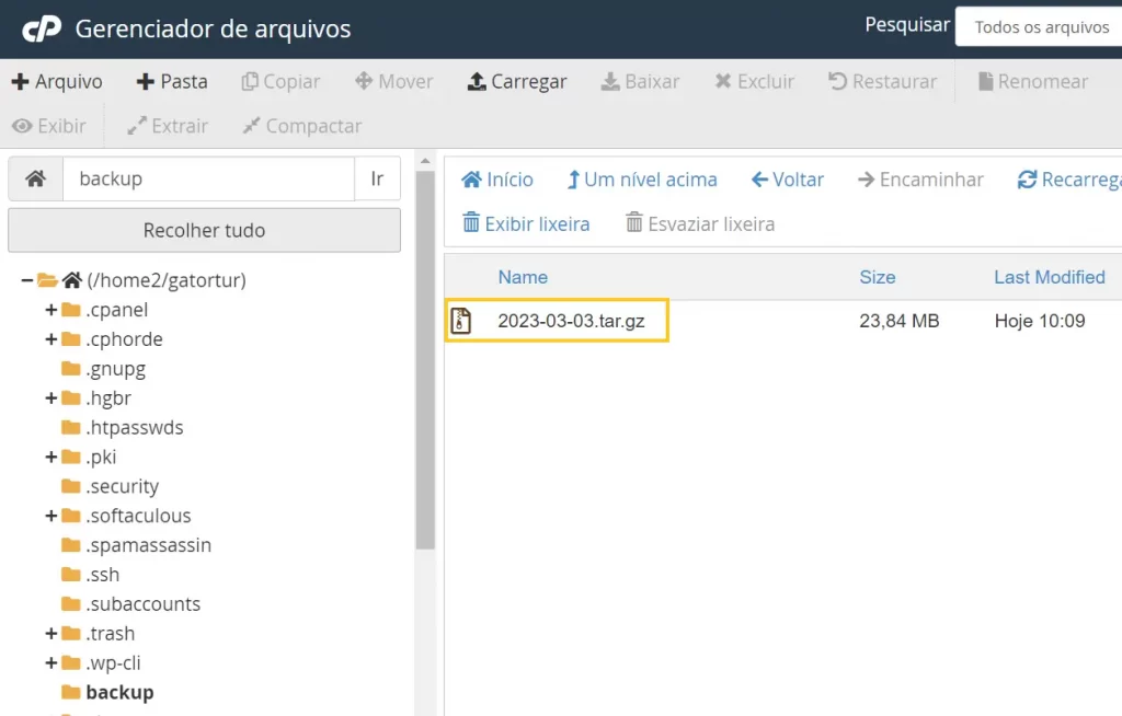 Localizar o arquivo de backup do WordPress