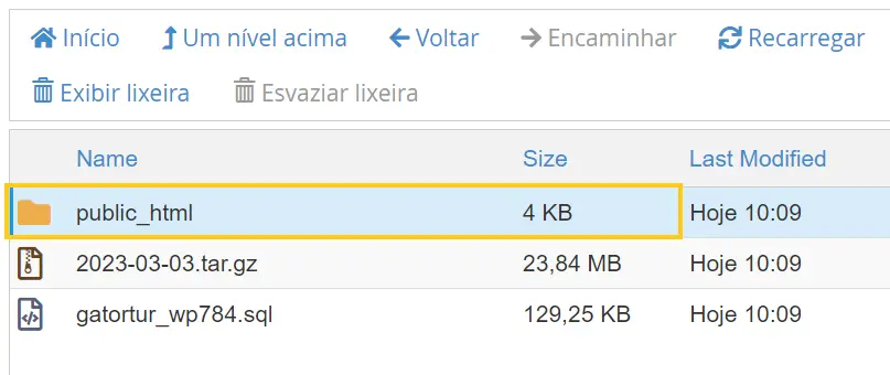 Acessar o diretório do backup com arquivos do WordPress