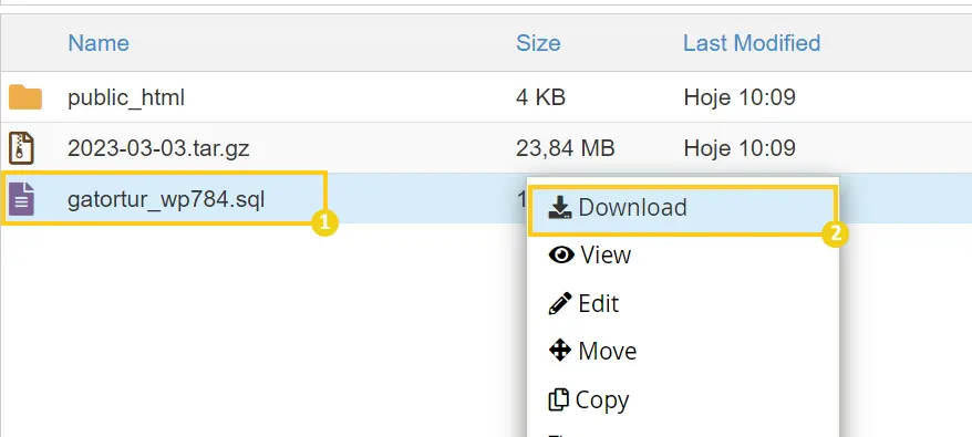 Baixando o arquivo SQL de backup do WordPress