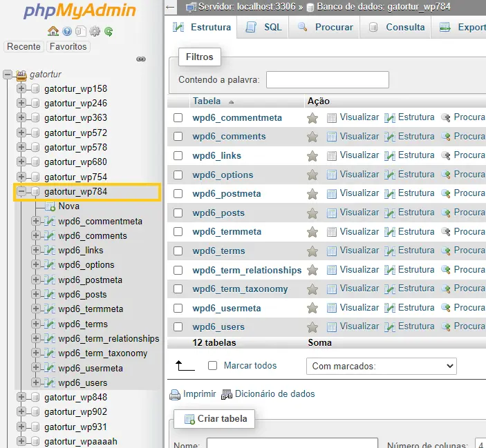 Acessando o banco de dados atual do WordPress.