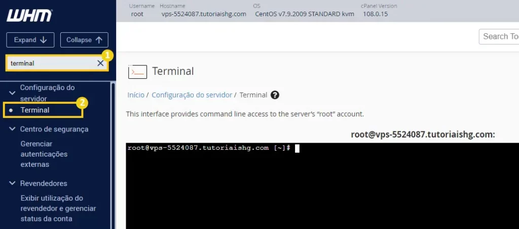 Acessar terminal do WHM