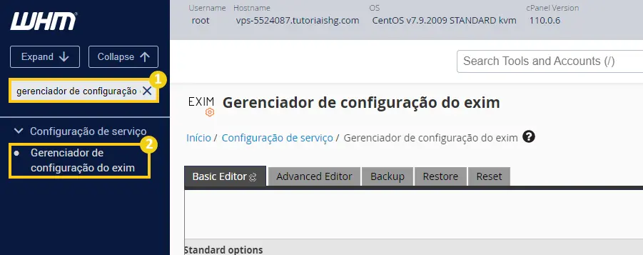 Gerenciador de configuração do Exim