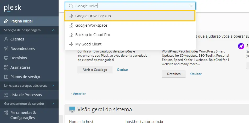 Google Drive Backup no Plesk