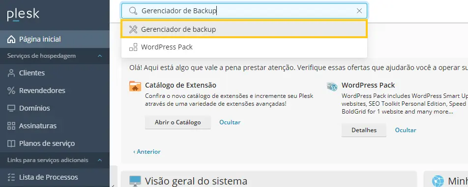 Gerenciador de Backup Plesk