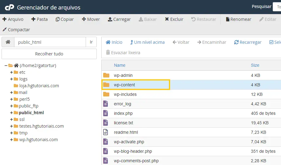 Acessar a wp-content