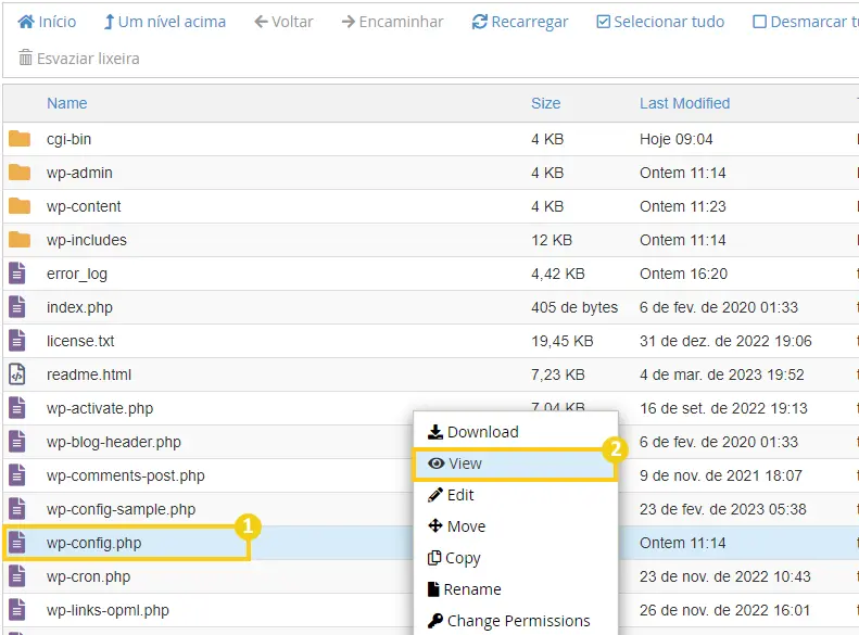 Visualizar o arquivo wp-config.php