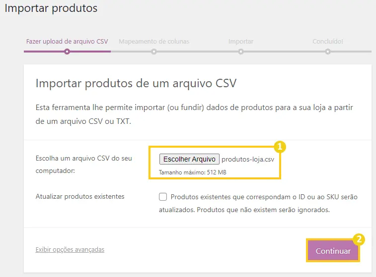 Importar o arquivo .csv no campo Escolher Arquiovo. Depois clicar em Continuar.
