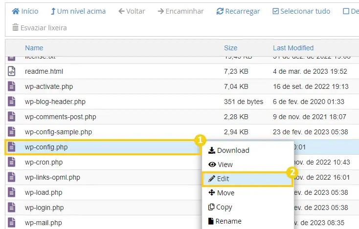 wp-config.php > Edit