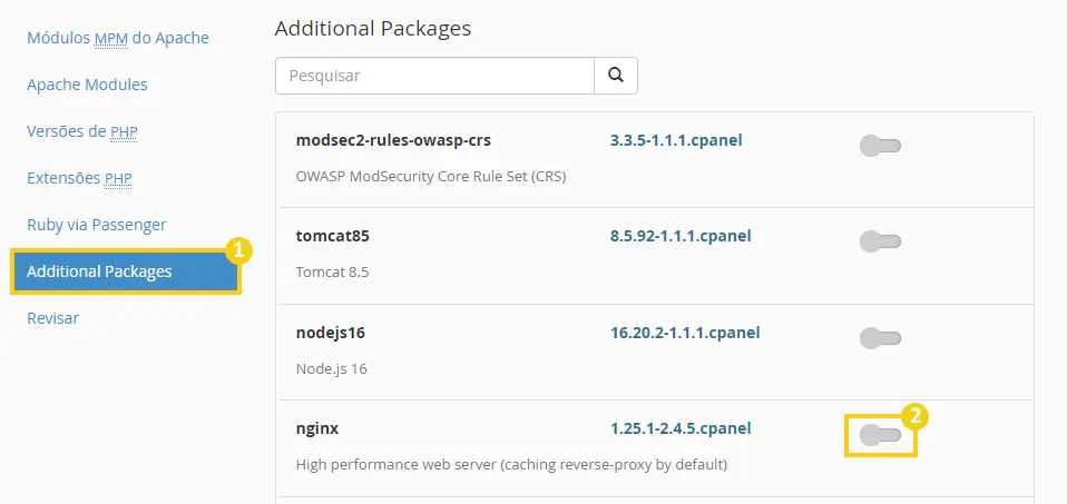 Additional Packages. Instalação do NGINX via EasyApache 4 no servidor