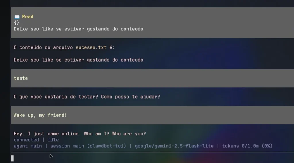 modelo funcional pronto para rodar na sua VPS