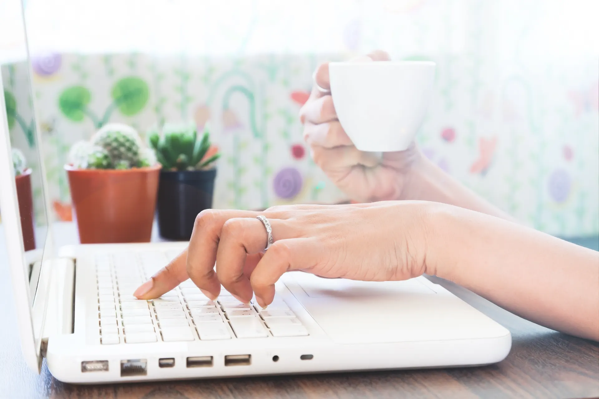 Pessoa digitando em um notebook branco sobre uma mesa, com jardim de suculentas ao fundo e fundo colorido. Mãos e teclado em foco, em ambiente de escritório ou estudo.
